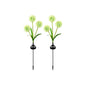LED Solar Lawn Flower Lights - Ground-mounted, Outdoor Courtyard Garden Decorative Lawn Lights